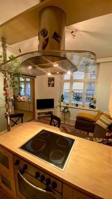 Lovely Apartment In The Centre, Street Level And Inner Yard Гельсінкі Екстер'єр фото